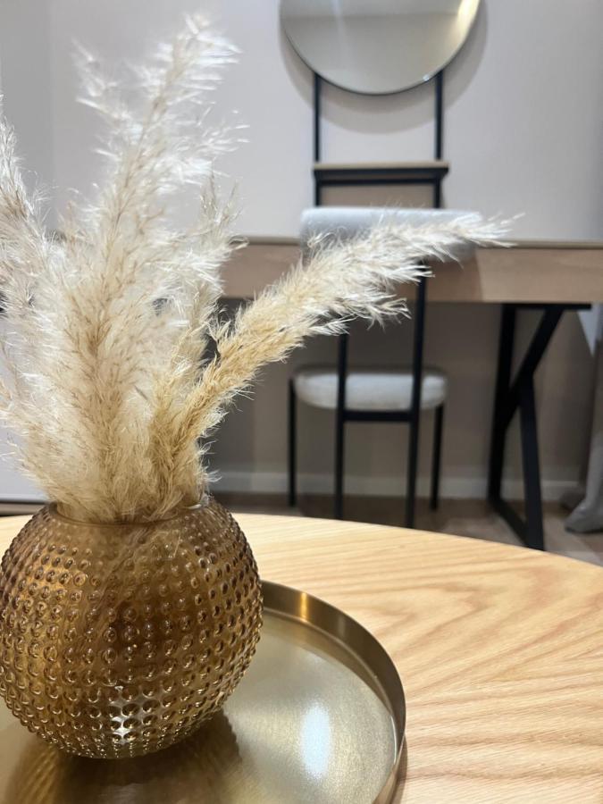 Enzo Rooms & Apartment Blloku 地拉那 外观 照片